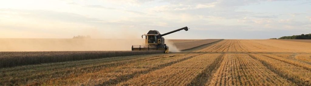 ensilage fourrage