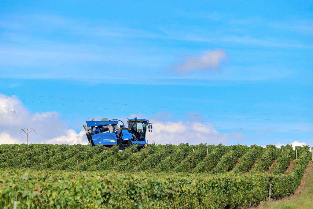 optimisation vendanges